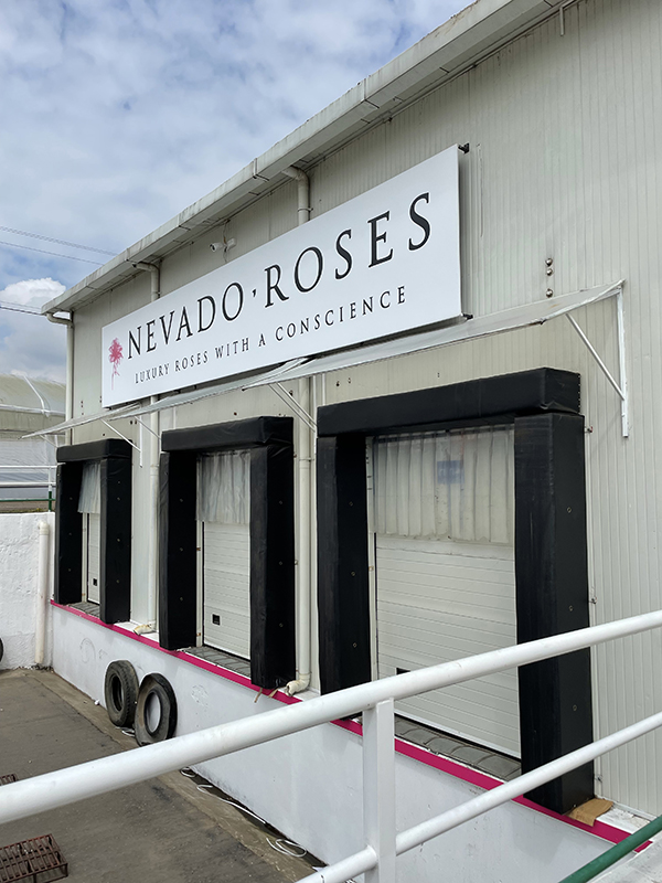 NEVADO ROSES TRUCK STATION